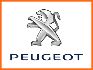 Peugeot key cover